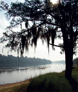 Toombs County Climate