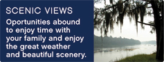scenic views - GA